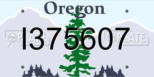 I375607 Oregon License Plate