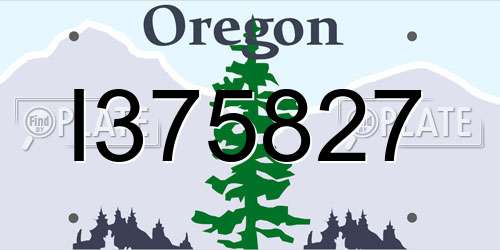I375827 Oregon License Plate