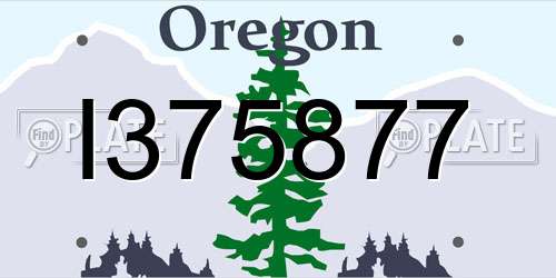 I375877 Oregon License Plate