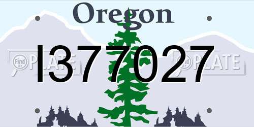 I377027 Oregon License Plate