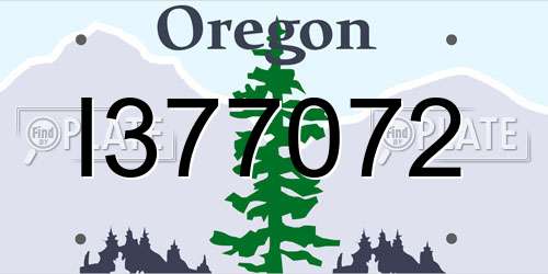 I377072 Oregon License Plate