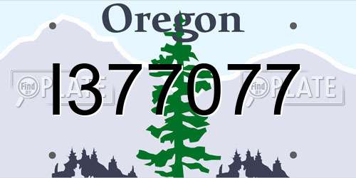 I377077 Oregon License Plate