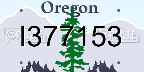 I377153 Oregon License Plate