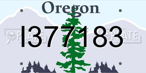 I377183 Oregon License Plate