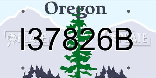 I37826B Oregon License Plate