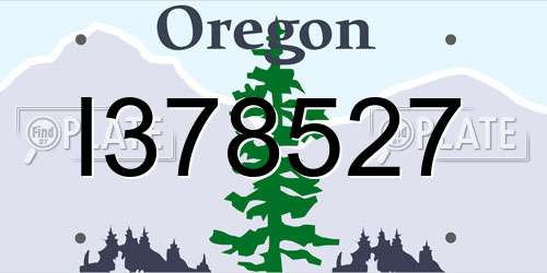 I378527 Oregon License Plate