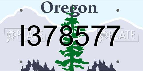 I378577 Oregon License Plate