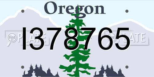 I378765 Oregon License Plate