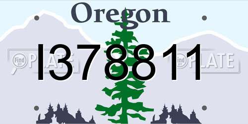 I378811 Oregon License Plate