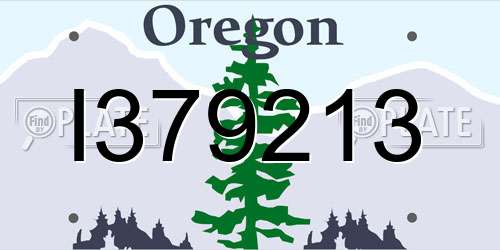 I379213 Oregon License Plate