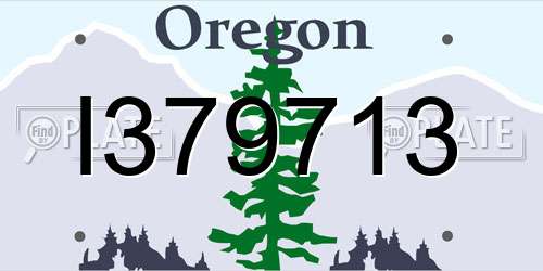I379713 Oregon License Plate