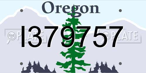 I379757 Oregon License Plate