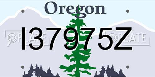I37975Z Oregon License Plate