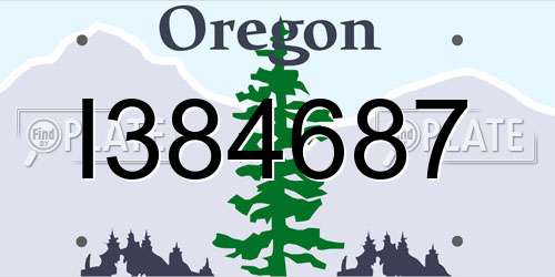 I384687 Oregon License Plate