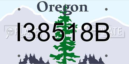 I38518B Oregon License Plate