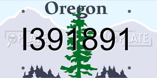 I391891 Oregon License Plate