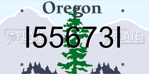 I55673I Oregon License Plate