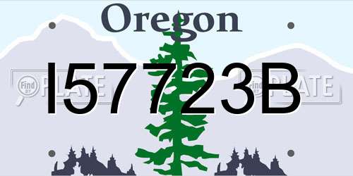 I57723B Oregon License Plate