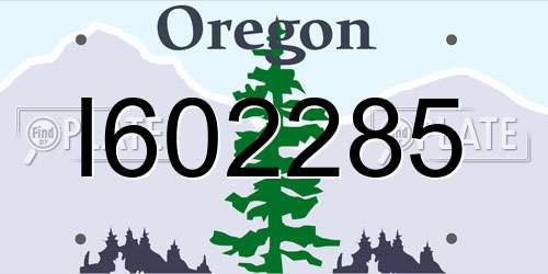 I602285 Oregon License Plate
