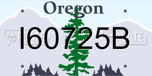 I60725B Oregon License Plate