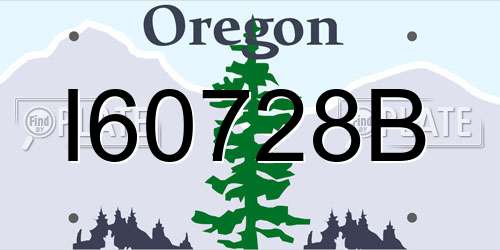 I60728B Oregon License Plate