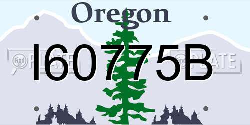 I60775B Oregon License Plate