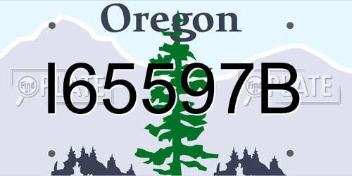 I65597B Oregon License Plate