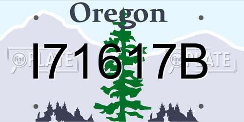 I71617B Oregon License Plate