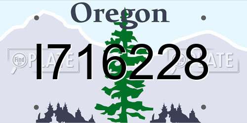 I716228 Oregon License Plate