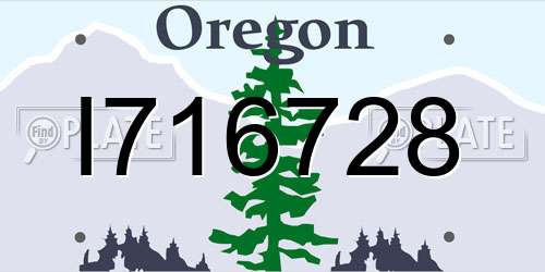 I716728 Oregon License Plate