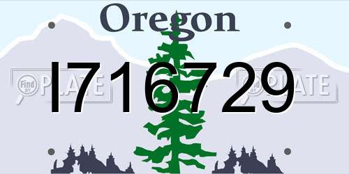 I716729 Oregon License Plate