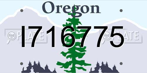 I716775 Oregon License Plate