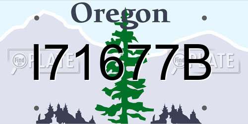 I71677B Oregon License Plate