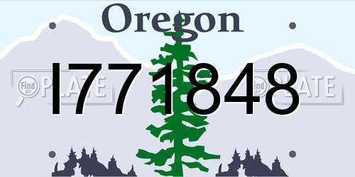 I771848 Oregon License Plate