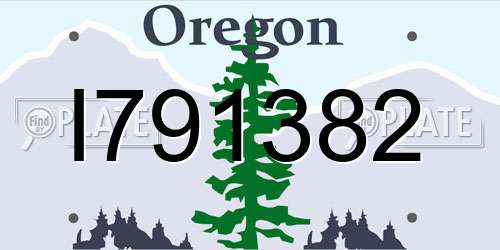 I791382 Oregon License Plate