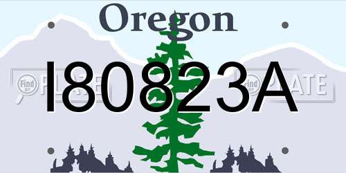 I80823A Oregon License Plate