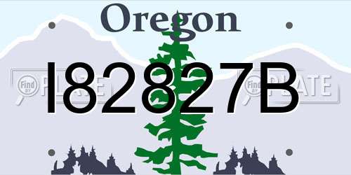 I82827B Oregon License Plate