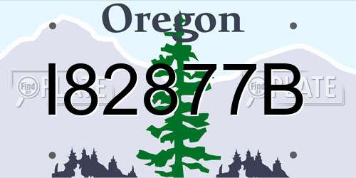 I82877B Oregon License Plate