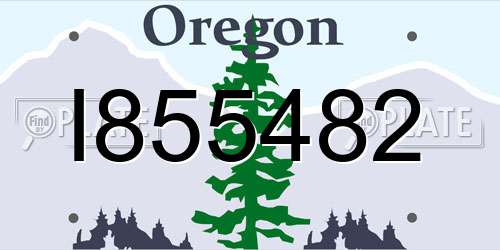 I855482 Oregon License Plate