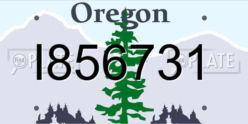 I856731 Oregon License Plate