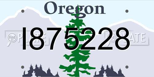 I875228 Oregon License Plate
