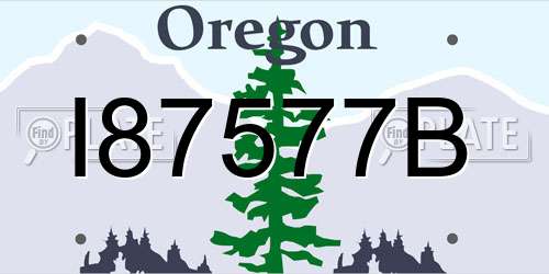 I87577B Oregon License Plate
