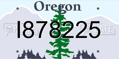 I878225 Oregon License Plate