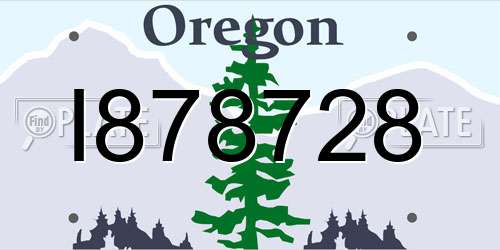 I878728 Oregon License Plate