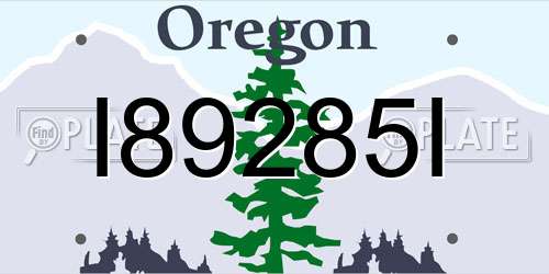 I89285I Oregon License Plate