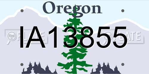 IA13855 Oregon License Plate