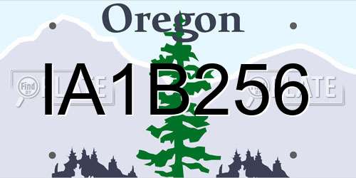 IA1B256 Oregon License Plate