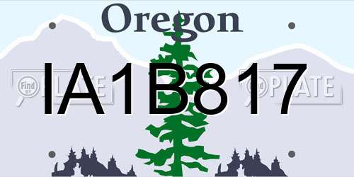IA1B817 Oregon License Plate