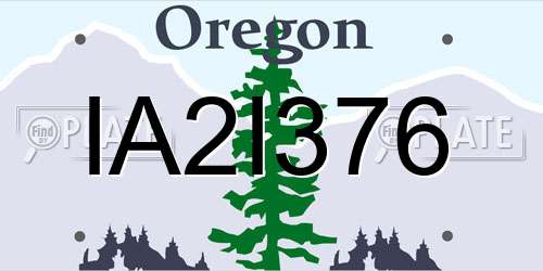 IA2I376 Oregon License Plate
