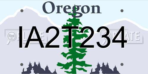 IA2T234 Oregon License Plate